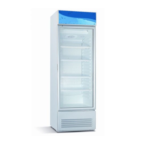 RAMTONS 280 LITERS 1 DOOR SHOWCASE CHILLER- CF/202